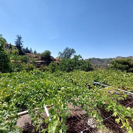 Agros Green Valley Suites Limassol Exterior foto