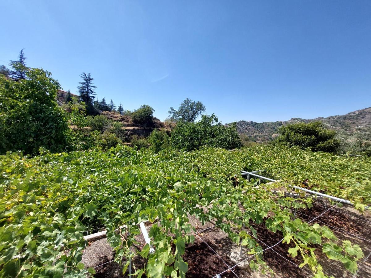 Agros Green Valley Suites Limassol Exterior foto